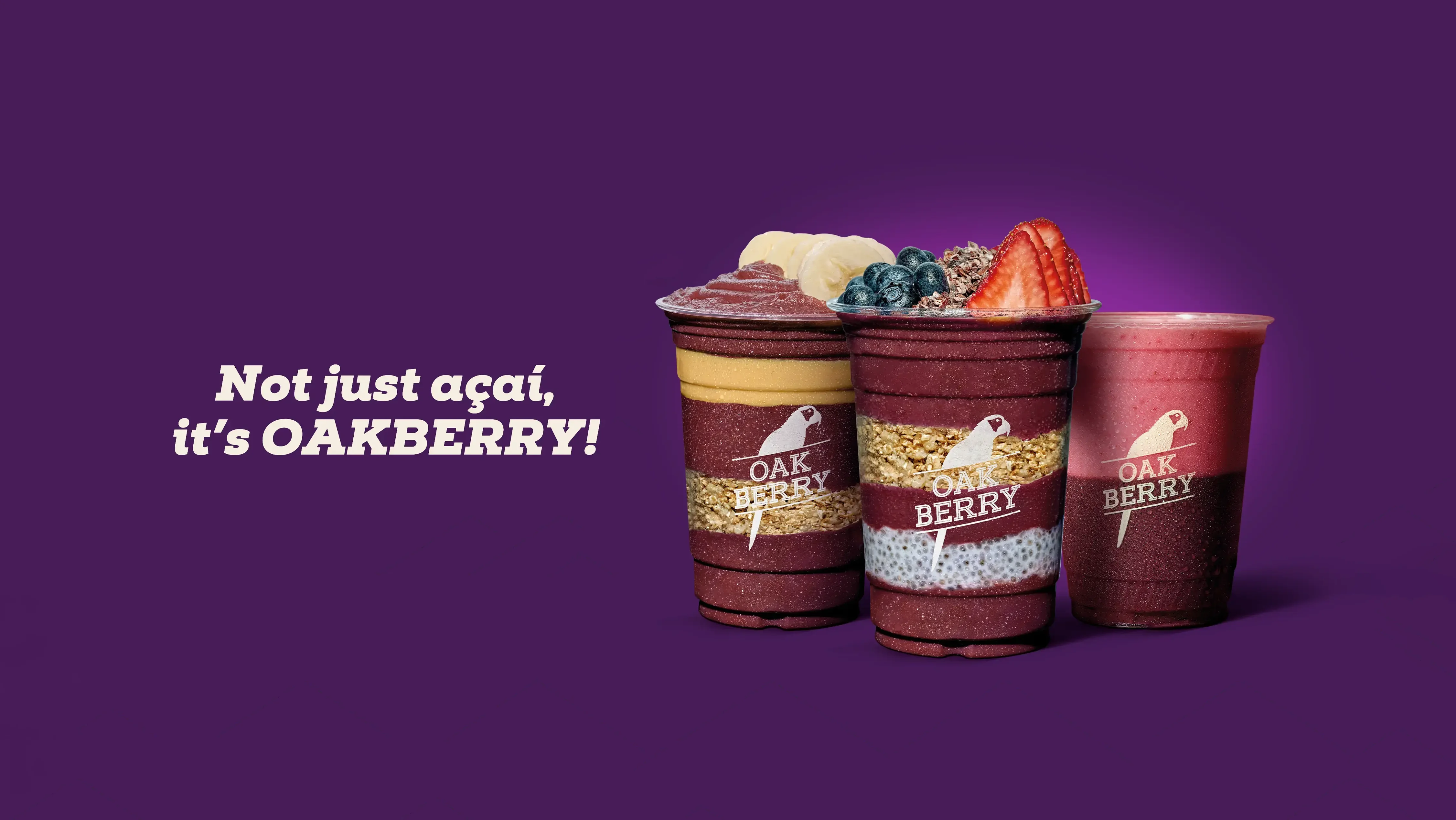 OAKBERRY Banner